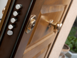 Важные факторы выбора входной двери из металла