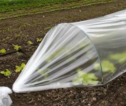 Укрывной материал: полиэтиленовая пленка, стекло или спанбонд